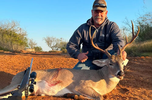 Patriots on the Hunt!